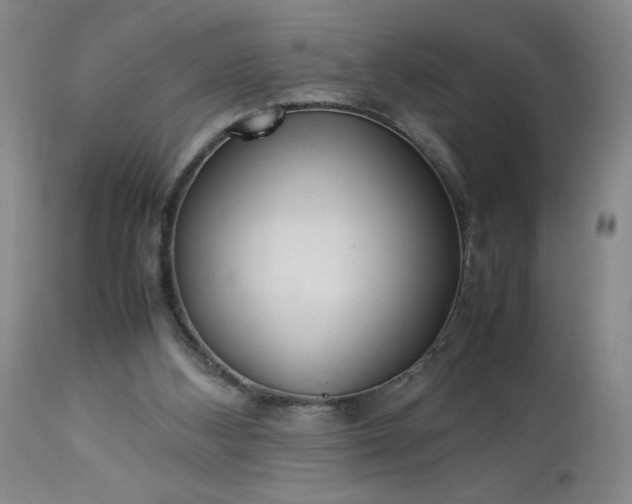 X0000113220108200909241457