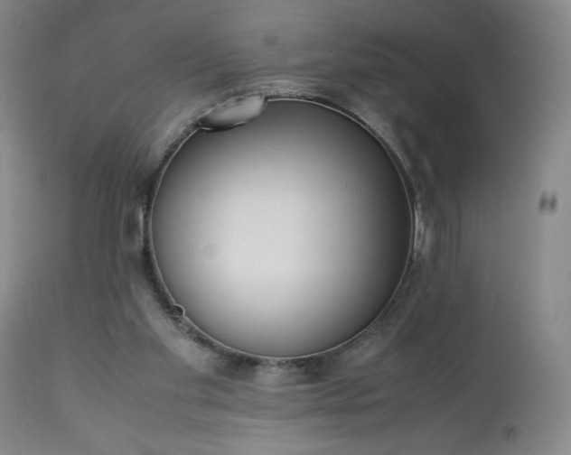 X0000113220109200909241457