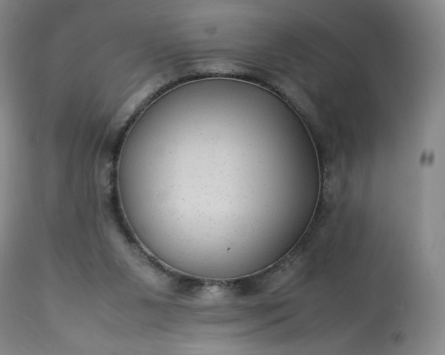 X0000113220111200909241457