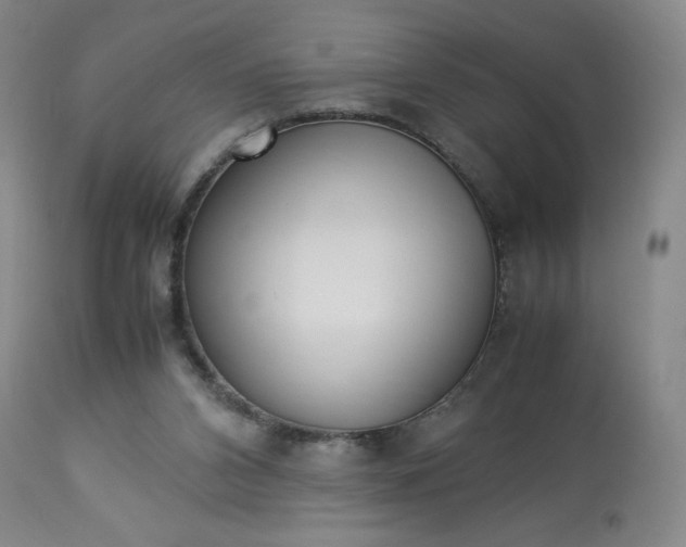 X0000113220112200909241457