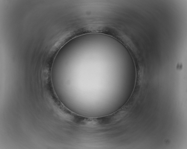 X0000113220113200909241457