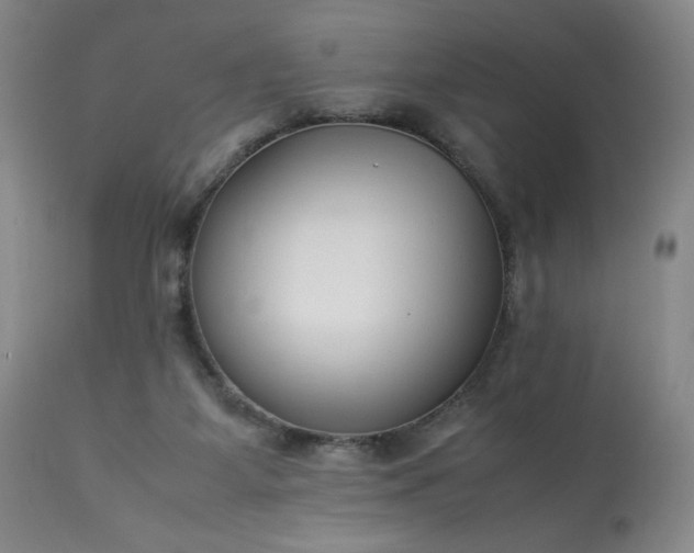 X0000113220115200909241457