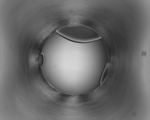 X0000113220116200909241457