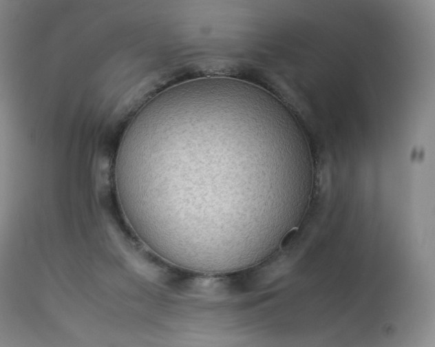 X0000113220117200909241457