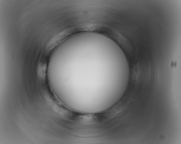 X0000113220118200909241457