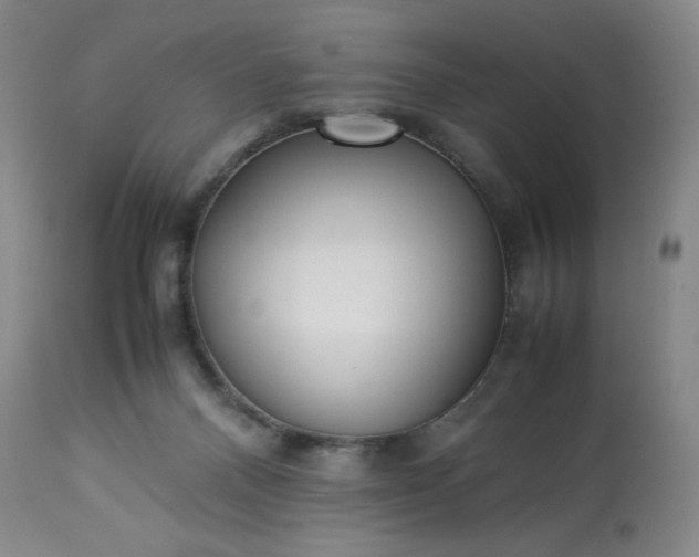 X0000113220120200909241457