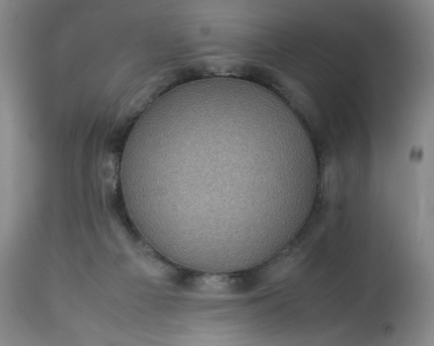 X0000113220121200909241457