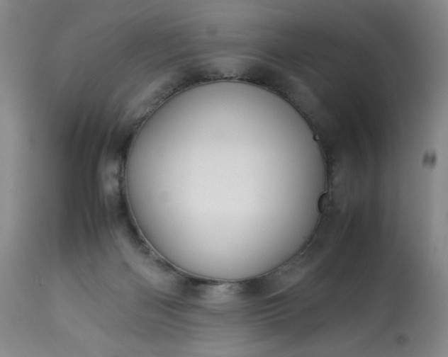 X0000113220122200909241457