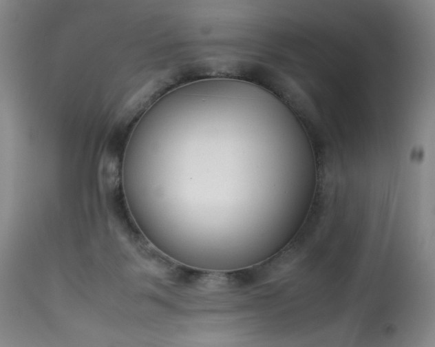 X0000113220123200909241457