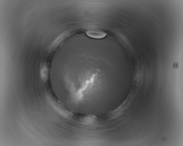 X0000113220124200909241457