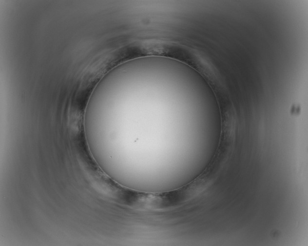 X0000113220125200909241457