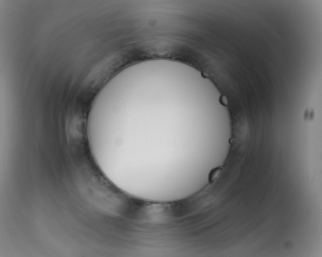 X0000113220126200909241457