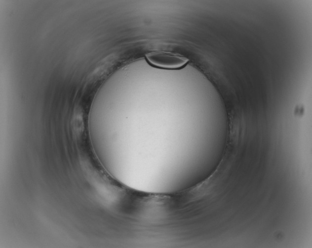 X0000113220128200909241457