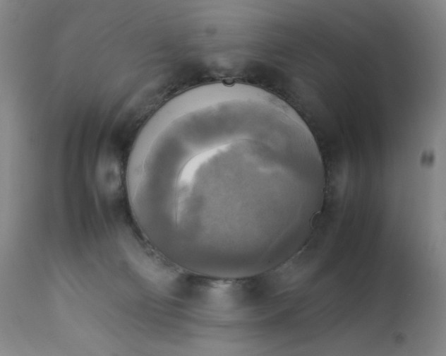 X0000113220130200909241457