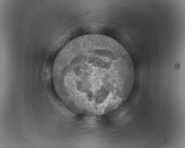 X0000113220131200909241457