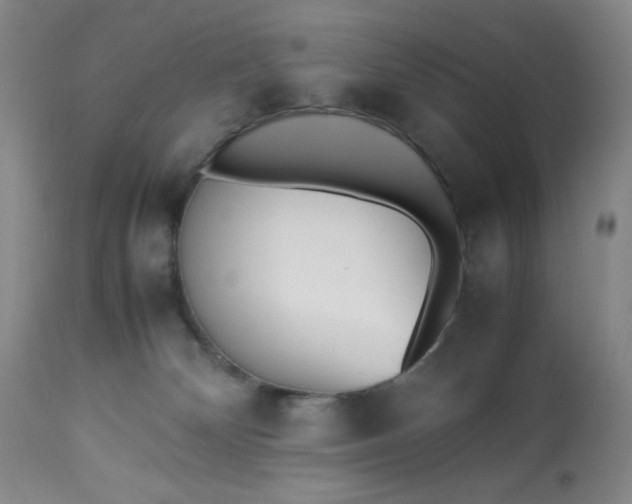 X0000113220132200909241457