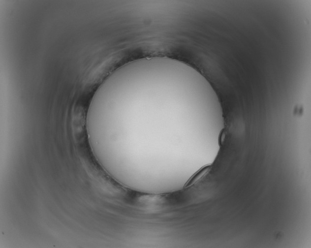 X0000113220133200909241457