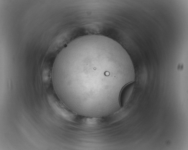 X0000113220134200909241456