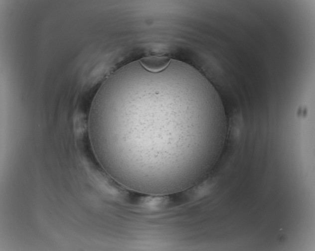 X0000113220135200909241456