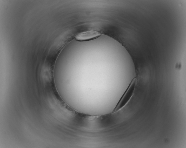 X0000113220136200909241456