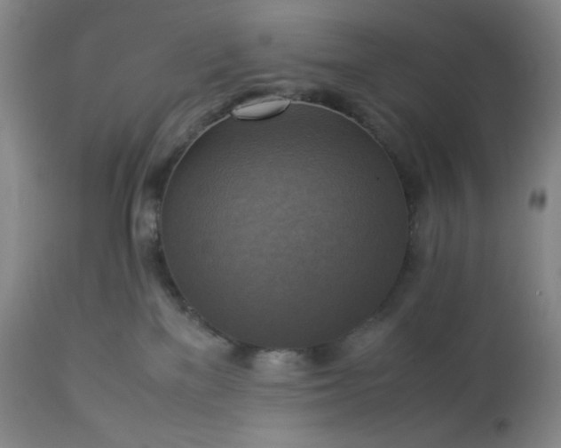 X0000113220137200909241456