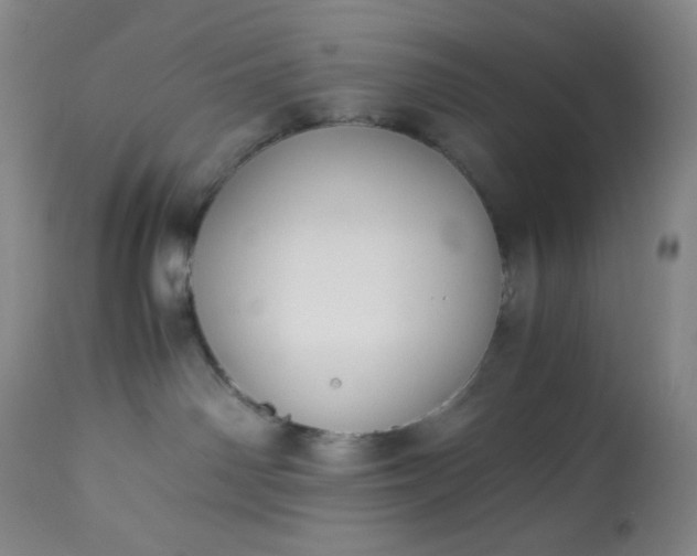 X0000113220142200909241456