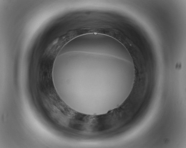 X0000113220143200909241456