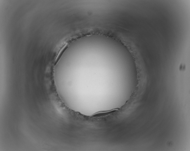 X0000113220144200909241456