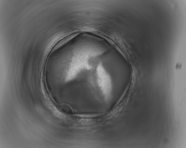 X0000113220145200909241456