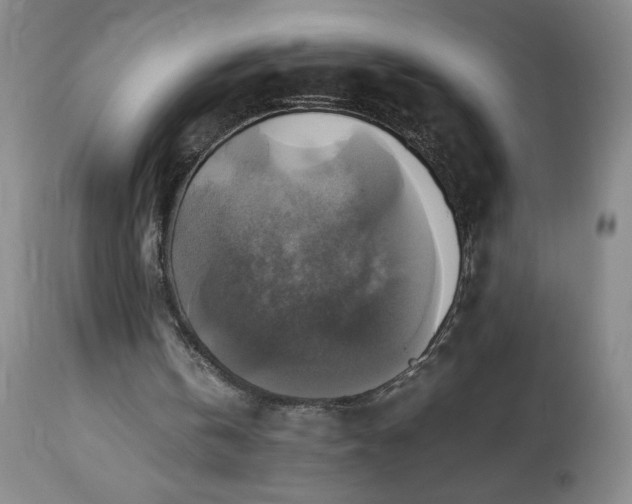 X0000113220146200909241456