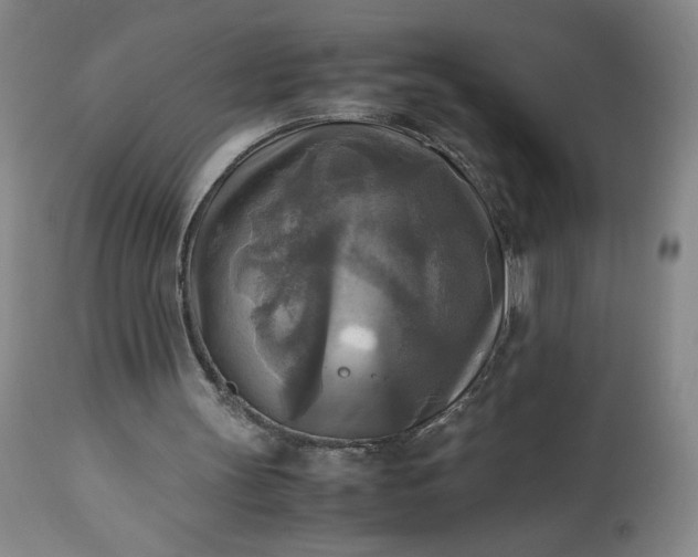 X0000113220147200909241456