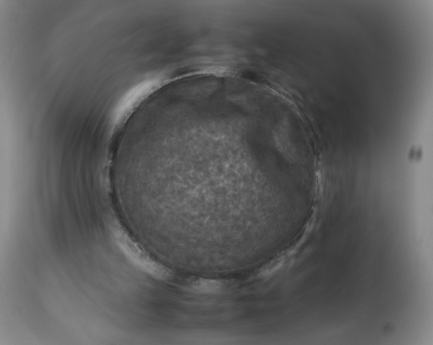 X0000113220149200909241456