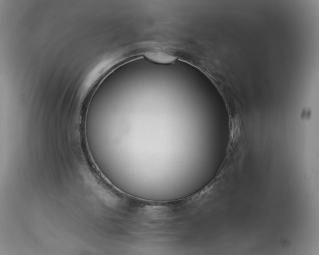 X0000113220150200909241456