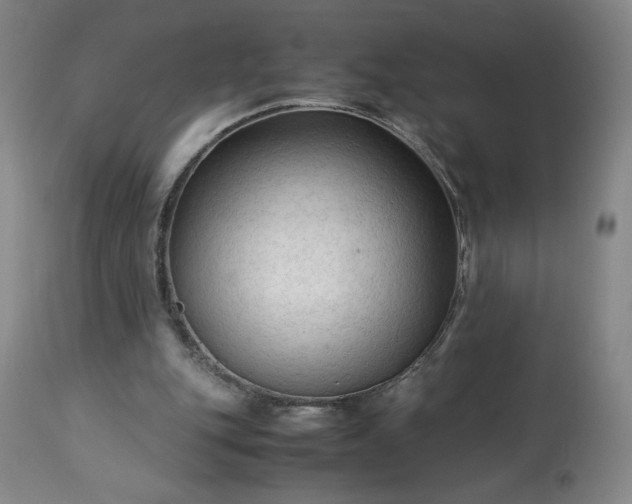 X0000113220151200909241456