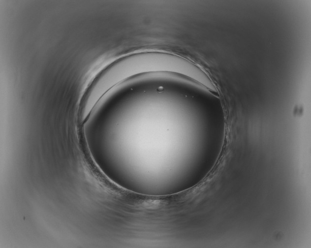 X0000113220152200909241456