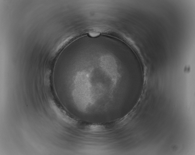 X0000113220154200909241456