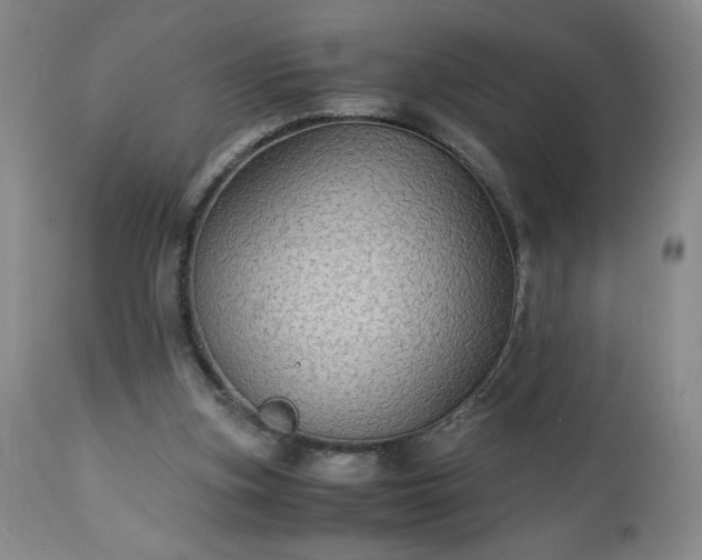 X0000113220155200909241456