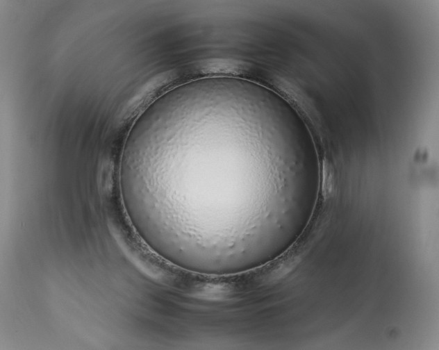 X0000113220157200909241456