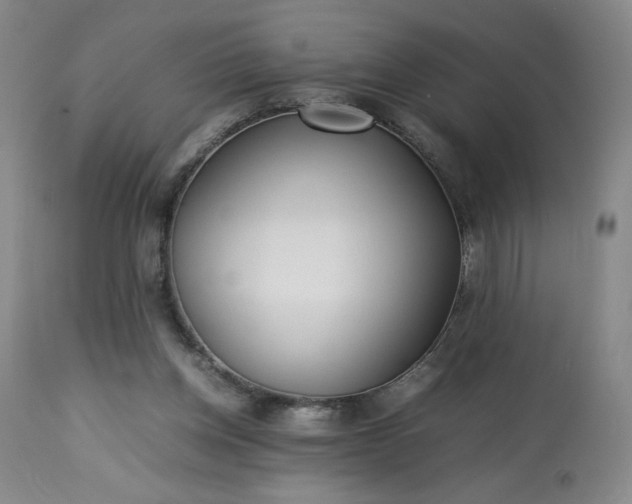 X0000113220158200909241456