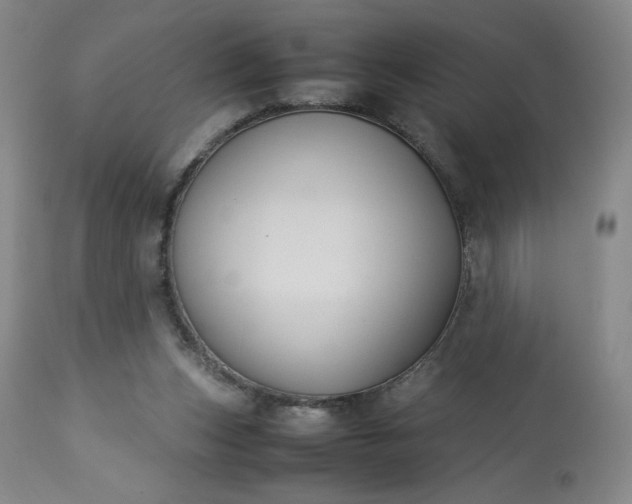 X0000113220159200909241456