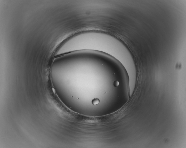 X0000113220160200909241456