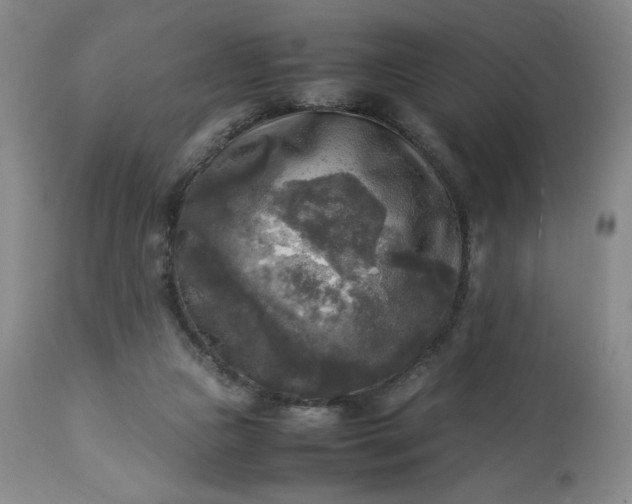 X0000113220161200909241456