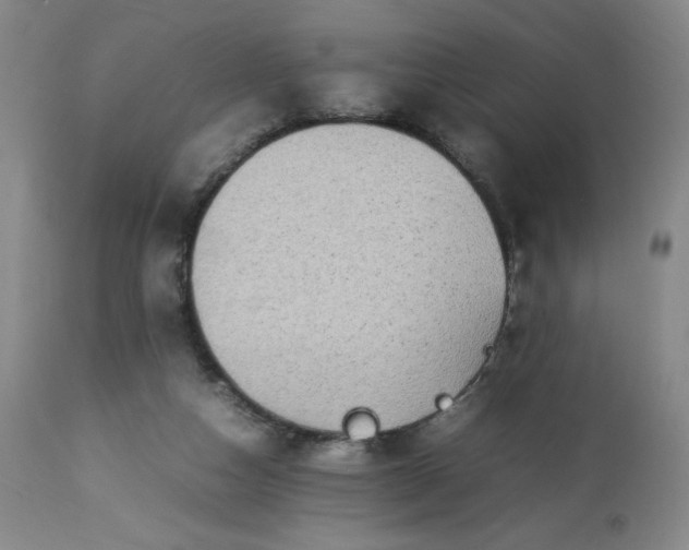 X0000113220162200909241456