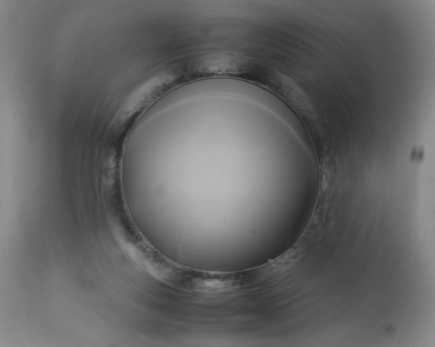 X0000113220163200909241456