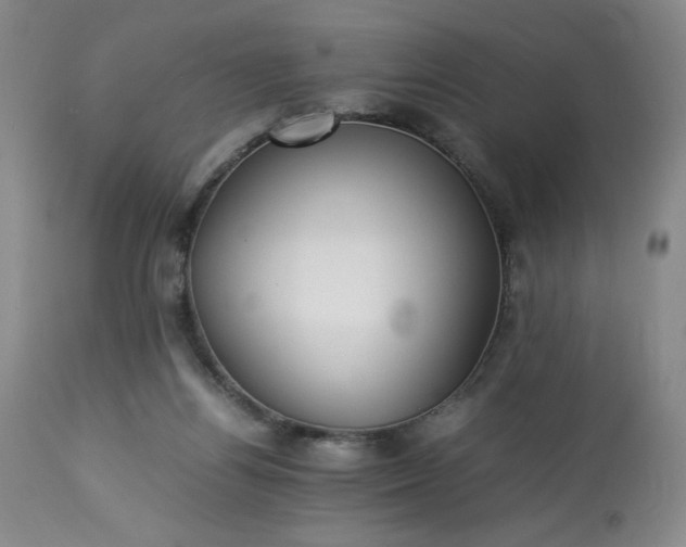 X0000113220164200909241456