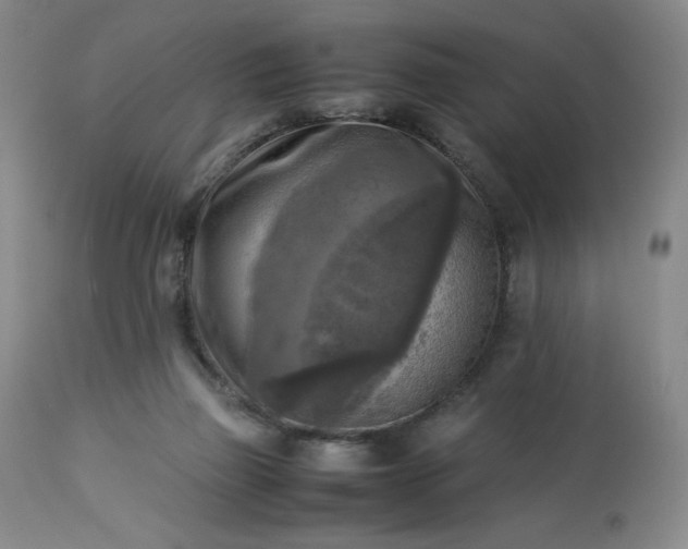 X0000113220165200909241456