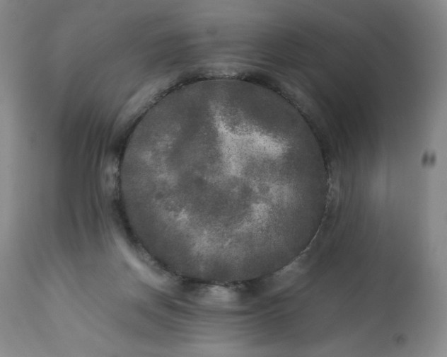 X0000113220166200909241456