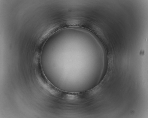 X0000113220167200909241456