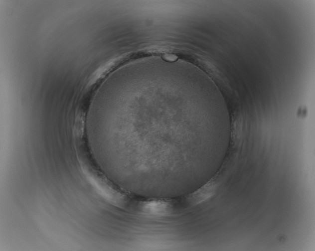 X0000113220168200909241456