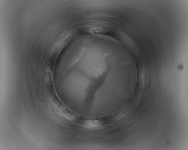 X0000113220169200909241456